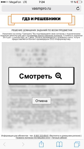 Подписка ГДЗ и решебники